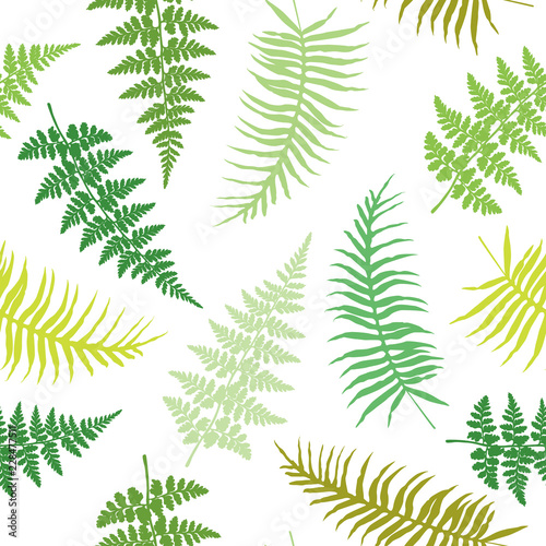 Fern frond seamless vector illustration, green and brown tropical forest plan...