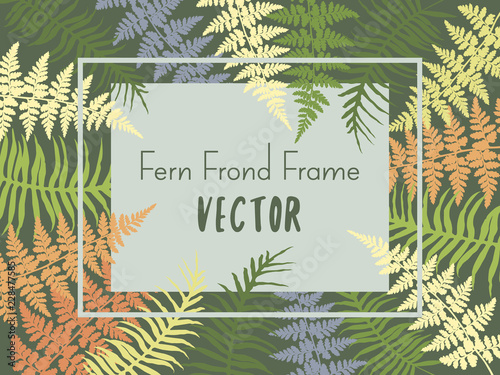 Fern frond frame vector illustration in green, yellow and grey. Detailed brac...