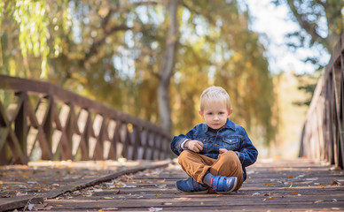 Adorable little boy on the wooden bridge