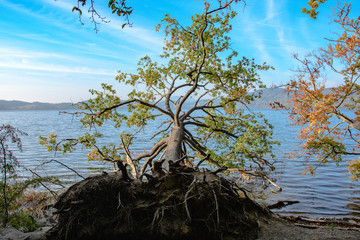 Wall Mural - Laacher See