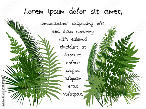 Green tropical leaves vector illustration - frame for random text on white ba...