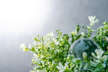 World globe cystal glass on green leaves bush. Environmental conservation. World environment day. Global business for sustainable development. Nature and ecology concept.