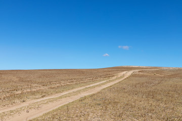 Wall Mural - path of wilderness and blue sky