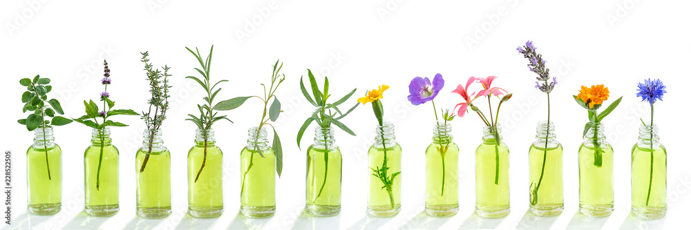 essential oil banner. Essential oil. essential oil with flower, and fresh medicinal herbs, on white background - obrazy, fototapety, plakaty 