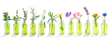 Essential Oil Banner. Essential Oil. Essential Oil With Flower, And Fresh Medicinal Herbs, On White Background