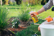 © zinkevych - Woman with diffuser. Caring woman wearing squared shirt and orange gloves holding diffuser sprinkling water on plants