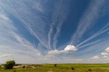 Wall Mural - Bright clouds in the blue sky over a green meadow.