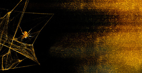 Wall Mural - Spiderwebs with spider isolated on black grunge background. Cobweb in the corner.  Halloween party flyer.  Horror, scary Halloween decoration. Copy space