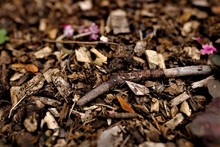 Bits And Pieces Earth