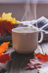 Fotomurales - Coffee mug with autumn maple leaves and women's woolen scarf on a wooden table