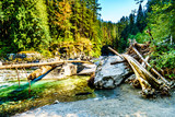 Fototapeta Las - The Coquihalla River before it flows through Coquihalla Canyon Provincial Park and past the Othello Tunnels of the old Kettle Valley Railway near the town of Hope, British Columbia, Canada
