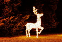 Christmas Reindeer (deer With Lights) In The Garden At Night. Christmas Decorations. Illuminated Reindeer.