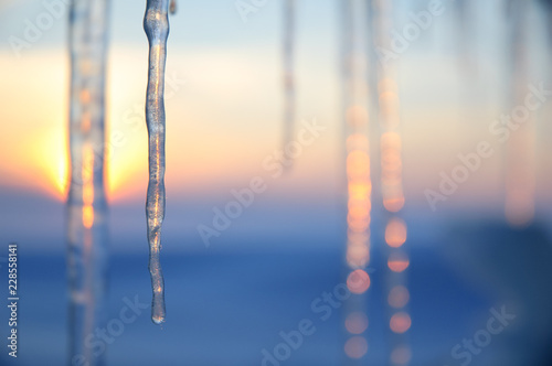 Fotomural Icicles lit by the setting sun