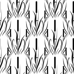 Wall Mural - Reed, cattail. Background, wallpaper, seamless. Silhouette