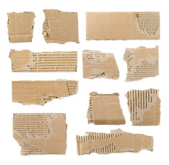 Wall Mural - Set cardboard scraps isolated on white background