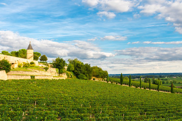 Wall Mural - Vineyards of Saint Emilion, Bordeaux Wineyards in France