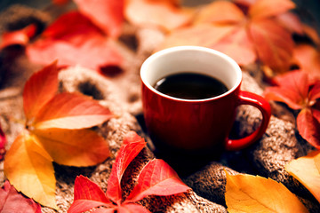 Cup of coffee and autumn leaves on knitted sweater