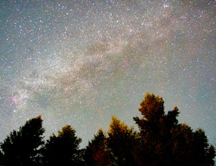 milky way over the trees