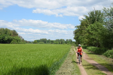 Wall Mural - Radfahren bei Münster, Hessen