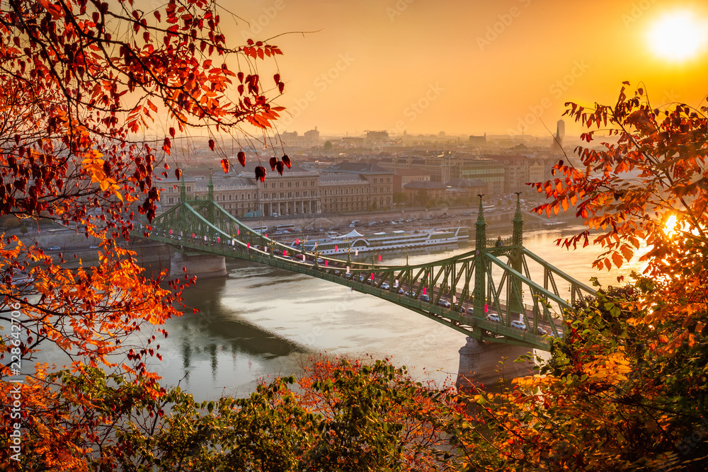 Budapest, Hungary - Liberty Bridge (Szabadsag Hid) at sunrise with beautiful autumn foliage - obrazy, fototapety, plakaty 