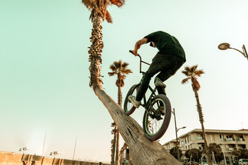 Wall Mural - Bmx bike rider riding on the street