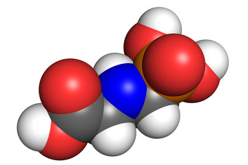 Wall Mural - Glyphosate is a widely used broad-spectrum herbicide. Space-filling model, conventional atom colouring.