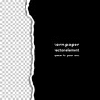 Torn paper with shadow on transparent background. Vector realistic ripped paper note