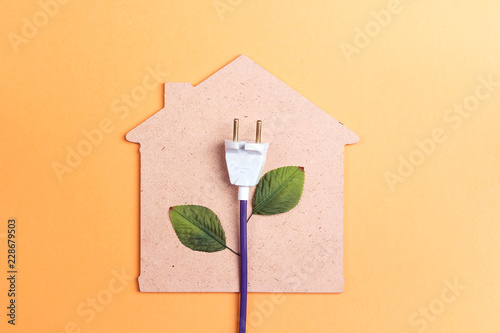 House symbol with plug like a plant. Save energy concept. Tableau sur Toile