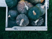 Pumpkins In A Box Free Stock Photo - Public Domain Pictures