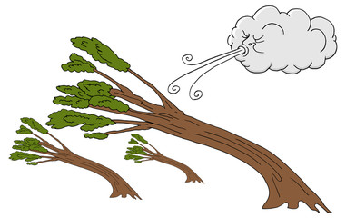 Wall Mural - Powerful Trees and Cloud Blowing Wind