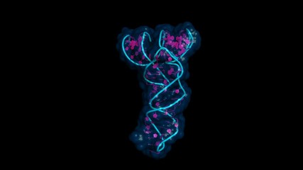 Wall Mural - Transfer RNA (tRNA) carries amino-acids to the ribosome, where they are linked into nascent proteins. Rotating cartoon model, seamless loop.