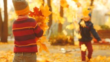 Kids Are Playing With Fallen Leaves In The Autumn Park