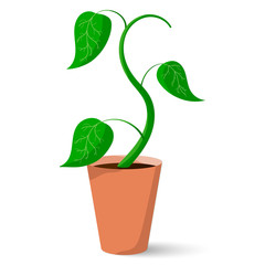Wall Mural - Flower in a pot. Vector illustration on white background