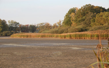 Wall Mural - empty pond in Trebonsko, fishing out