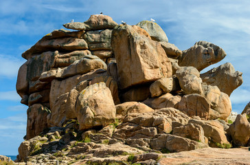 Wall Mural - Pink Granite Coast, Brittany, France