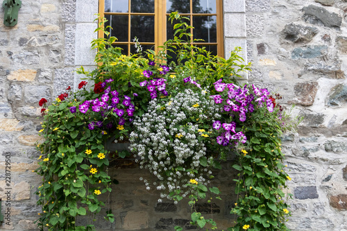 Bouquet De Fleur Vieille Maison Du Vieux Québec Canada