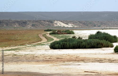 Ile De Boavista Plage De Santa Monica Le Cap Vert Afrique