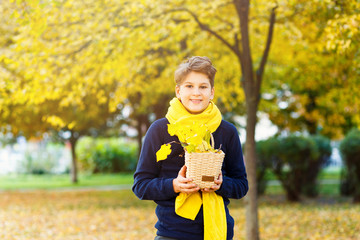 boy holds beige basket with  bouquet of yellow leaves in hands on fallen leaves background. autumn mood beautiful day. Golden fall in still life. Bright Fall image.  