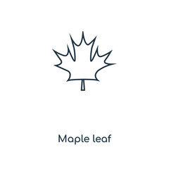 Wall Mural - maple leaf icon vector