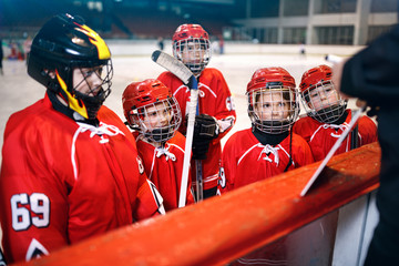 Wall Mural - strategy coach in game hockey in ice.