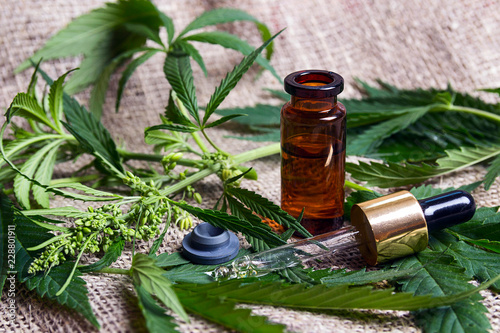Fotomural Medicinal cannabis with extract oil in a bottle on sackcloth.
