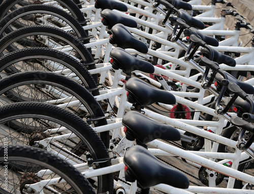 Fotografia  A row of bicycles