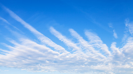 panoramic view of blue sky with palm shaped clouds