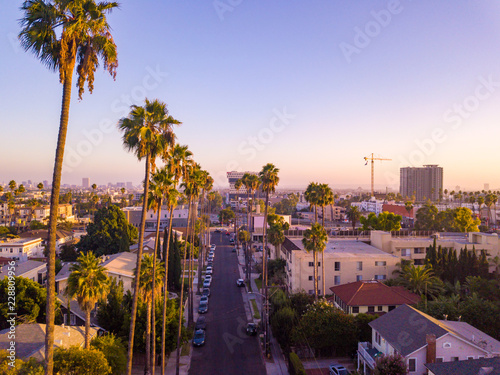 Fotomural Beverly Hills street with palm trees at sunset in Los Angeles with Hollywood sign on the horizon
