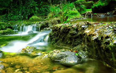 Sticker - autumn stream in the forest, gold autumn European landscape