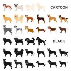 Wall Mural - Dog breeds cartoon icons in set collection for design.Dog pet vector symbol stock web illustration.