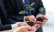 © ASDF - blurred image of a fresh sprout in the hands of the business team