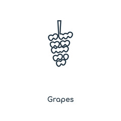 Sticker - grapes icon vector