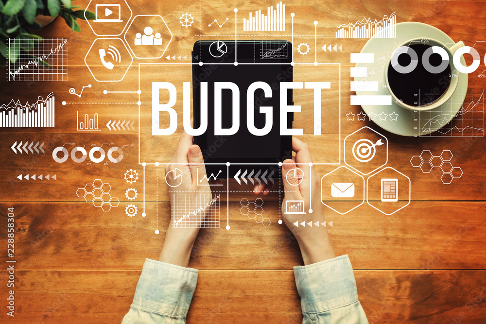Budget with a person holding a tablet computer - obrazy, fototapety, plakaty 