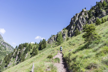 Canvas Print - Trekking sul pendio